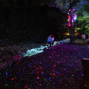 夜幕下的魔法森林:景物与灯光完美结合 夜幕下的魔法森林:景物与灯光完美结合