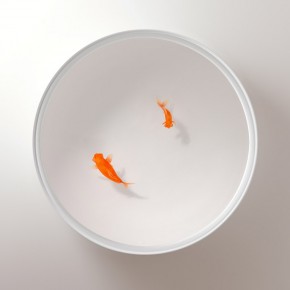 极简主义设计——金鱼桌子 极简主义设计——金鱼桌子