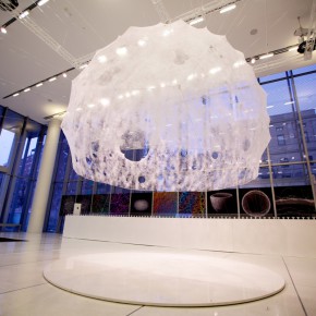 Silk Pavilion:由桑蚕参与打造的展厅设计品 Silk Pavilion:由桑蚕参与打造的展厅设计品