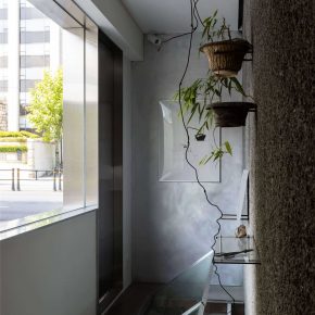 Creative Studio Unravel丨Taste of Plant Creative Studio Unravel丨Taste of Plant