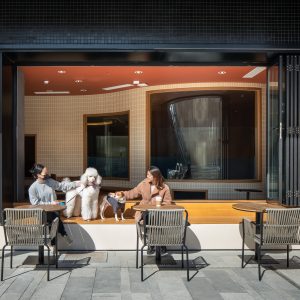 hcreates | Paw Day宠物旗舰店 hcreates | Paw Day宠物旗舰店